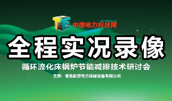 循环流化床锅炉节能减排技术研讨会全程录像DVD光盘