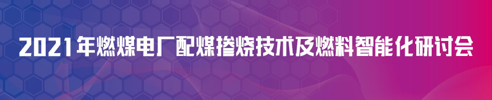 2021年燃煤电厂配煤掺烧技术及燃料智能化研讨会