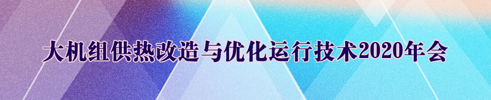 大机组供热改造与优化运行技术2020年会