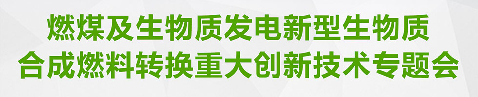 燃煤及生物质发电新型生物质合成燃料转换重大创新技术专题会