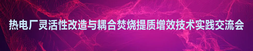 熱電廠靈活性改造與耦合焚燒提質(zhì)增效技術(shù)實(shí)踐交流會(huì)